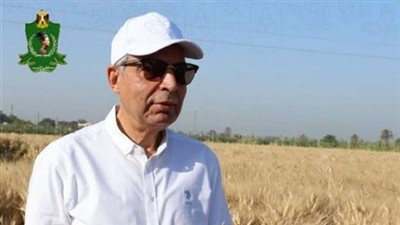 محافظ المنيا: شون وصوامع المحافظة تستقبل 32 ألف طن قمح ضمن موسم توريد 2026