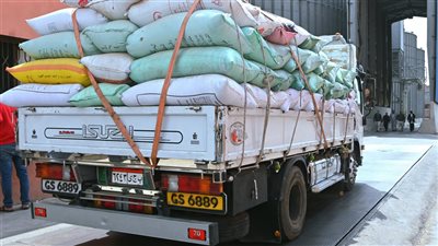 محافظ البحيرة: توريد 2957 طن قمح بشون وصوامع المحافظة حتى اليوم