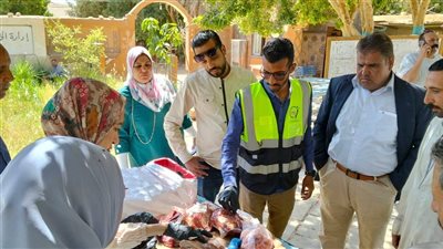 ضبط لحوم فاسدة وتحرير محاضر لمخالفات خلال حملة رقابية بالوادي الجديد