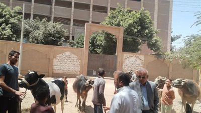 قوافل بيطرية مجانية.. فحص وعلاج 3150 حالة بمراكز طما والمراغة والمنشأة بسوهاج
