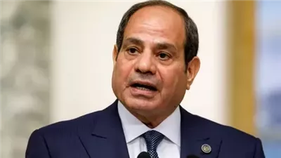 الرئيس السيسي: نسبة البطالة في مصر انخفضت إلى 6.2٪
