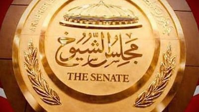 خلال الجلسة العامة لمجلس الشيوخ.. نائبة تستعرض تفاصيل ظاهرة المراهنات الرياضية 