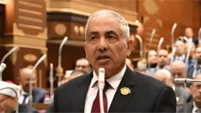 وكيل مجلس الشيوخ: صناعة البطل الأولمبي مشروع قومي ومسؤولية مشتركة