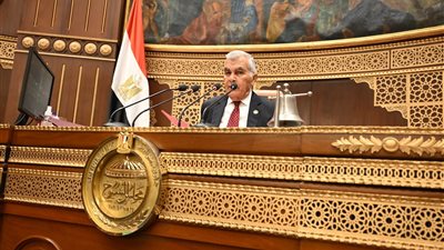 وكيل الشيوخ يطالب بضرورة وضع حد أدنى لأصحاب المعاشات