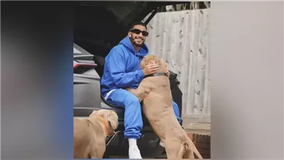 غرامات لم تُسدد حتى الآن.. الجزائري سعيد بن رحمة يقر بالذنب في قضية كلاب خطيرة