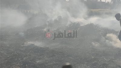 3 سيدات مصابات ونفوق ماشية وأغنام.. أول صور لحريق 5 منازل بسبب فرن بلدي بقنا