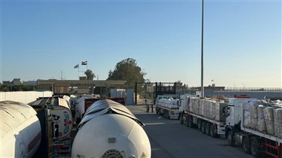الهلال الأحمر المصري يدفع بأكثر من 4685 طنا من المساعدات الغذائية والإغاثية إلى غزة