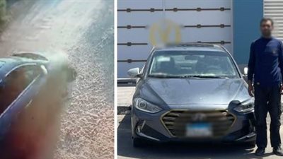حاولت أفاديه معرفتش.. القبض على مالك مزرعة بتهمة دهس كلب في الإسماعيلية 