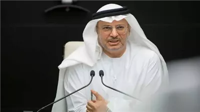 إشادة رسمية.. الدكتور أنور قرقاش المستشار الدبلوماسي لرئيس الإمارات: مصر كان لها موقف إيجابي مع الإمارات خلال العدوان الإيراني