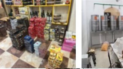 ضبط مدير مصنع عسل نحل بداخله أطنان من العسل مجهول المصدر بالدقهلية