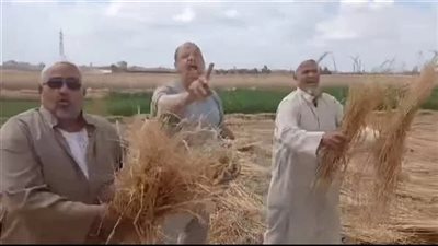 سرقوه في نص الليل.. التحريات تكشف دور المتورطين في سرقة محصول القمح بالزقازيق