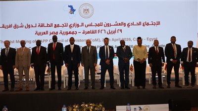 EAPP: مصر دولة المقر الدائم لمشغل سوق الكهرباء في دول تجمع شرق إفريقيا