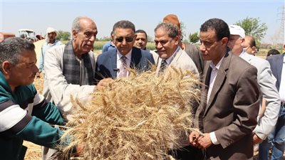 محافظ القليوبية يتفقد موسم حصاد القمح في قها.. ويؤكد: الدولة حريصة على دعم المزارع وتحقيق الأمن الغذائي
