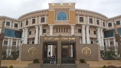 بعد إثارتها الجدل.. تفاصيل دعوى المطالبة بإنشاء مجلس قومي للرجل