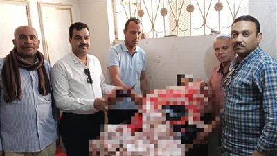 ضبط لحوم فاسدة وأسماك مجهولة المصدر في حملات تموينية مكثفة بالبحيرة