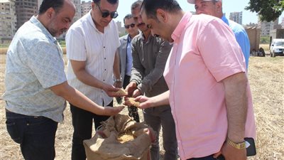 مدير تعليم سوهاج يشهد انطلاق أول أيام حصاد القمح بمدرسة سوهاج الثانوية الزراعية