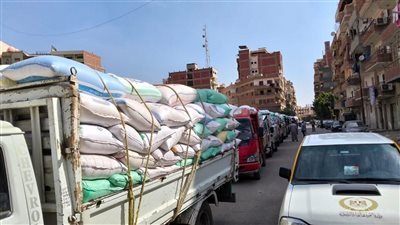 توريد 13.6 ألف طن قمح بصوامع القليوبية