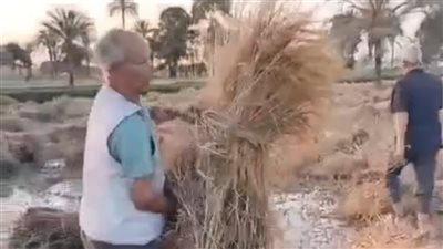 جيت الأرض 7 الصبح لقيتها غرقانة.. مزارع الفيوم يروي تفاصيل ضياع فدان قمح 
