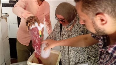إعدام ربع طن أغذية فاسدة وتحرير 48 محضرًا وغلق منشأة مخالفة في مغاغة بالمنيا