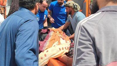 سقطت في المياه.. إصابة شخصين في حادث سيارة نقل محمّلة بالفراولة بالمنوفية