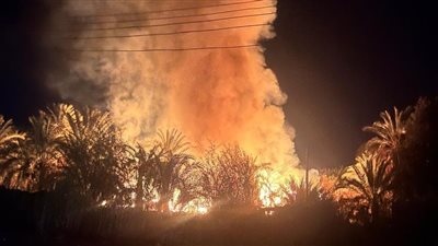 حريق مزرعة نخيل في الوادي الجديد.. والدفع بـ4 سيارات إطفاء