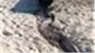 شركة مياه مطروح: المياه المتدفقة بالكورنيش ليست صرفًا صحيًا ومحضر بيئة ضد المقاول المتسبب في الواقعة 