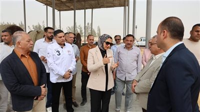 لإنتاج وقود صديق للبيئة.. محافظ الوادي الجديد تتابع مراحل إنشاء وحدة تدوير مخلفات النخيل الجديدة
