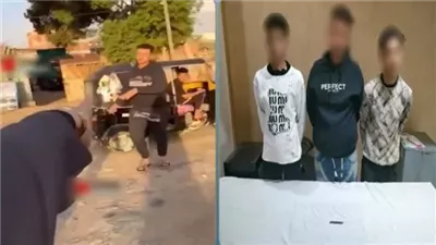 التحقيق مع 3 أشخاص لاتهامهم بمضايقة فتاة والتعدي عليها وشقيقها في الجيزة