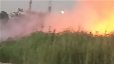 بـ 3 سيارات إطفاء.. السيطرة على حريق في أشجار ومخلفات خلف مدرسة بقنا