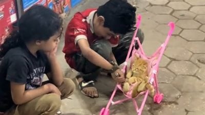 طفل ينقذ قطة صغيرة بعربة دُمية.. فيديو إنساني يتصدر مواقع التواصل