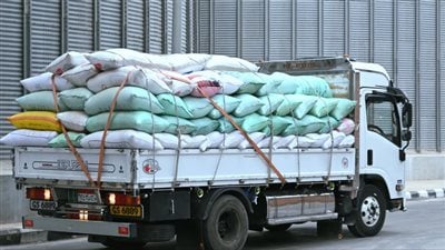 توريد 7 آلاف طن قمح خلال 24 ساعة.. وإجمالي الكميات الموردة بالبحيرة يقترب من 64 ألف طن حتى اليوم