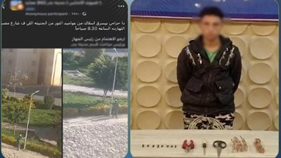 القبض على المتهم بسرقة أسلاك كهربائية من عمود إنارة في القاهرة