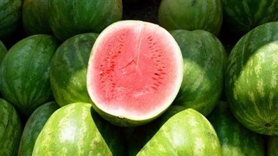لماذا ارتفعت أسعار البطيخ اليوم؟.. اعرف التفاصيل