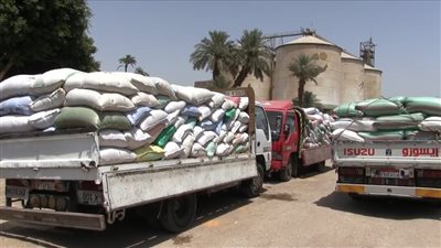 توريد القمح 