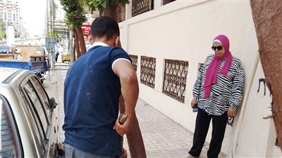 حي وسط بالإسكندرية يتابع تنفيذ الخطة الاستثمارية لتطوير الإضاءة العامة