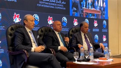 كامل الوزير: إشراك القطاع الخاص في السكك الحديدية أنقذ نقل البضائع ورفع كفاءة عربات النوم
