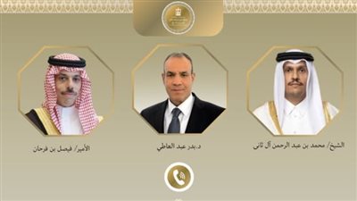 وزراء خارجية مصر والسعودية وقطر     