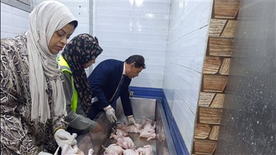 ضبط لحوم فاسدة بأحد مطاعم الأقصر 