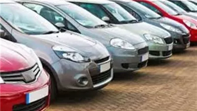 10 يونيو.. نظر استئناف مستريح السيارات بأكتوبر على حكم حبسه وشقيقه 3 سنوات بتهمة النصب