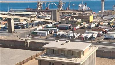 تداول 15 ألف طن و884 شاحنة بضائع عامة ومتنوعة بموانئ البحر الأحمر