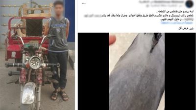 ضبط سائق تروسيكل لسيره عكس الاتجاه واصطدامه بشخص في الإسكندرية