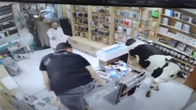 الفيديو 