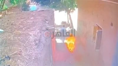 لمناقشة الطبيب الشرعي.. تأجيل ثاني جلسات محاكمة المتهم بإضرام النيران في عمه حتى الموت بالمنوفية