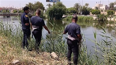 فرق الإنقاذ النهري تكثف جهودها لانتشال جثمان شاب من ترعة الإبراهيمية بالمنيا