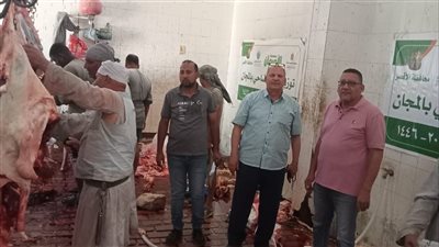 ذبح 65 عجلًا وتوزيع لحومها على 13 ألف أسرة في الأقصر خلال ثالث أيام العيد
