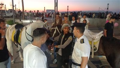 محافظ مطروح يوجه بملاحقة الخيول والإشغالات على الكورنيش.. وتخصيص موقع دائري روميل لممارسة النشاط