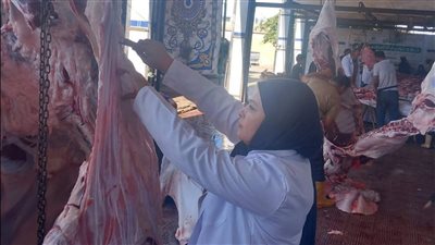 بيطري كفر الشيخ: ذبح 2342 أضحية بالمجان داخل المجازر الحكومية خلال أيام عيد الأضحى