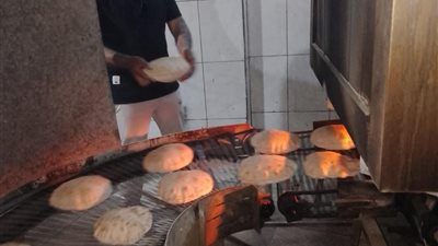 تموين الدقهلية: تحرير 154 مخالفة.. وتوريد أكثر من 290 ألف طن قمح