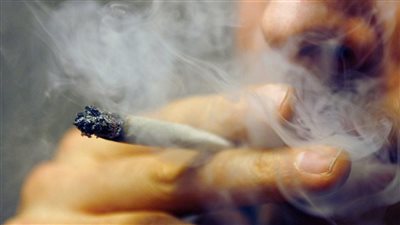 بنسبة 51%.. الحشيش أكثر المخدرات انتشارًا بين طالبي العلاج من مكافحة الإدمان خلال إجازة عيد الأضحى
