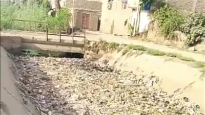 تهدد 200 فدان زراعي بالضبعية.. استغاثة لإنقاذ ترعة الفضلية من حيوانات نافقة وأكوام قمامة بالأقصر| صور
